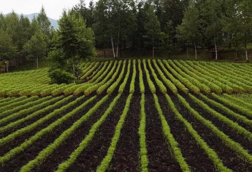 Ryokan Tsutaya Tokinoyado Kazari
