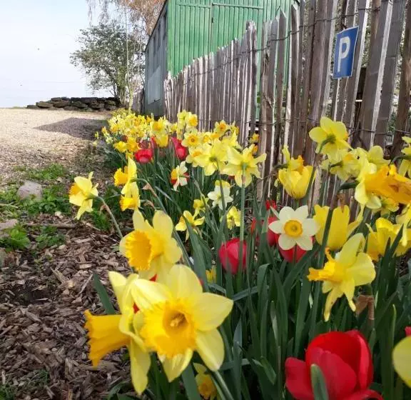 Aamiaismajoitus (B&B) Bingers Kleine Scheune
