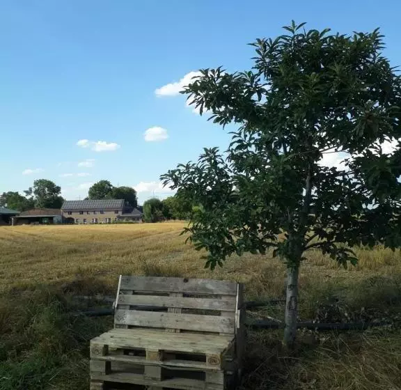 Aamiaismajoitus (B&B) Bingers Kleine Scheune