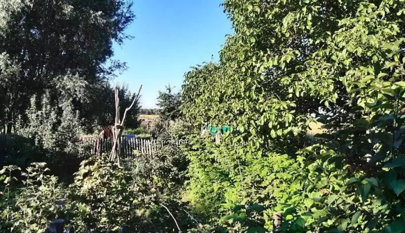 Aamiaismajoitus (B&B) Bingers Kleine Scheune