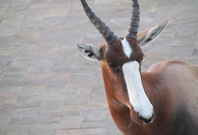 ベッドアンドブレックファースト Golfer's Retreat