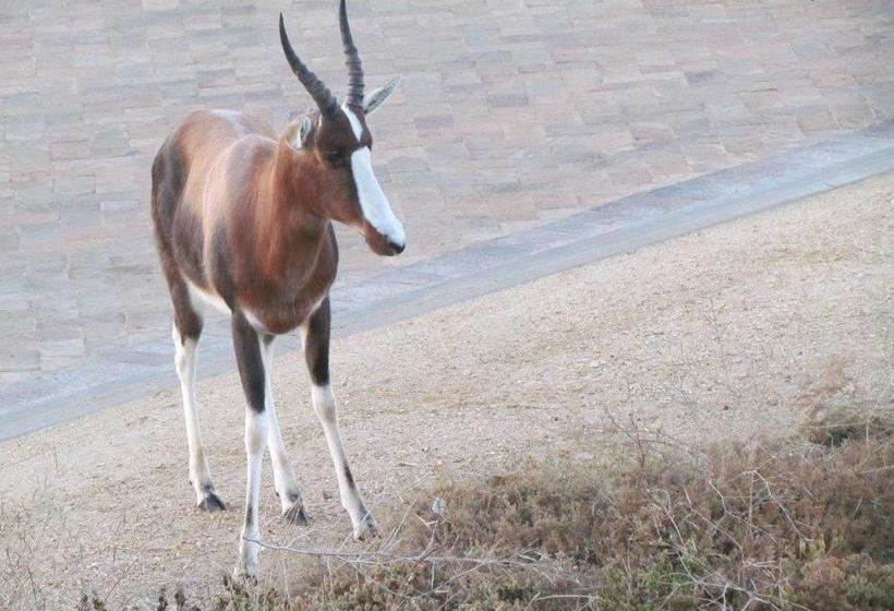 ベッドアンドブレックファースト Golfer's Retreat