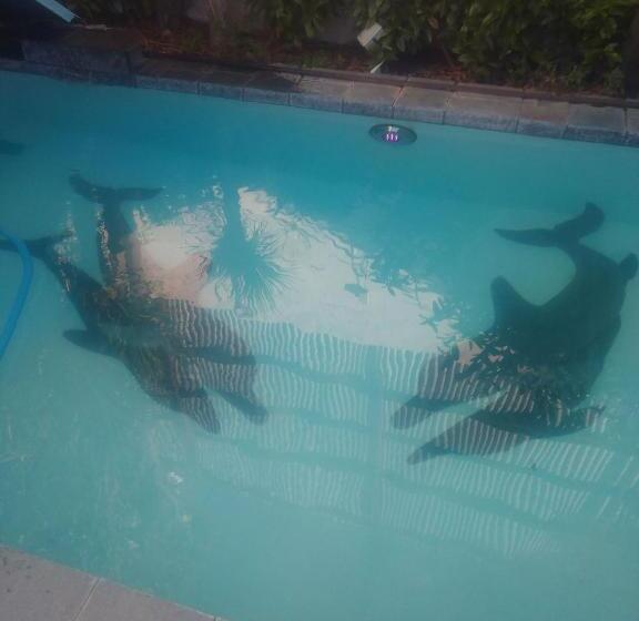 Universal Traveller's Hostel