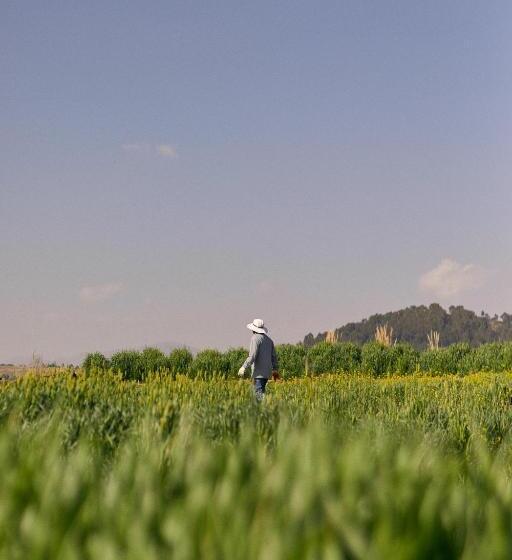 Отель Titilaka - Relais & Châteaux