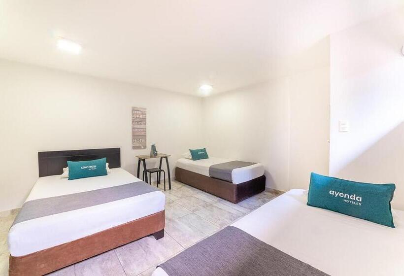 Hotel Ayenda Ruta 65