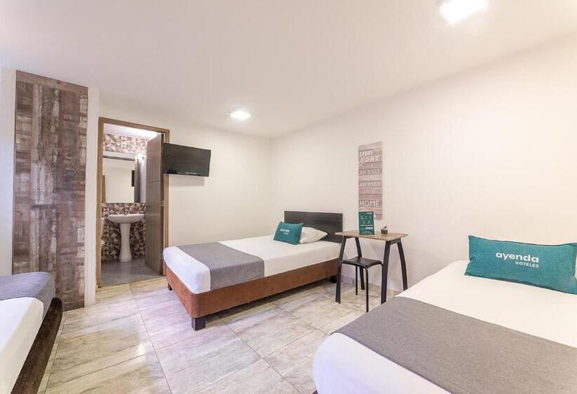 Hotel Ayenda Ruta 65