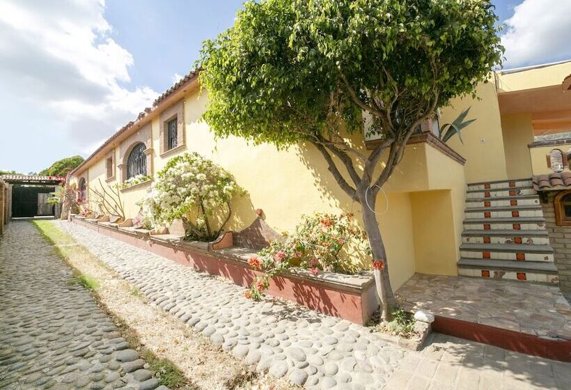 酒店 Colonial Taxco