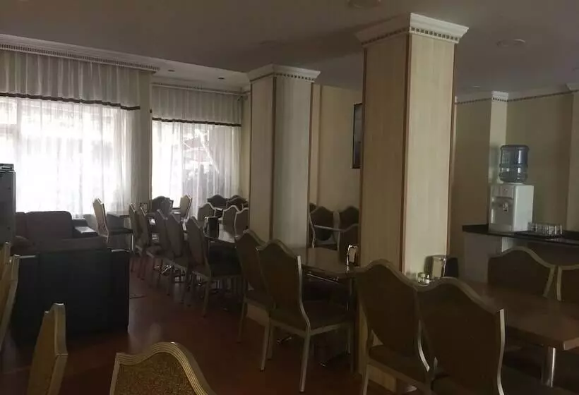 Saray Otel