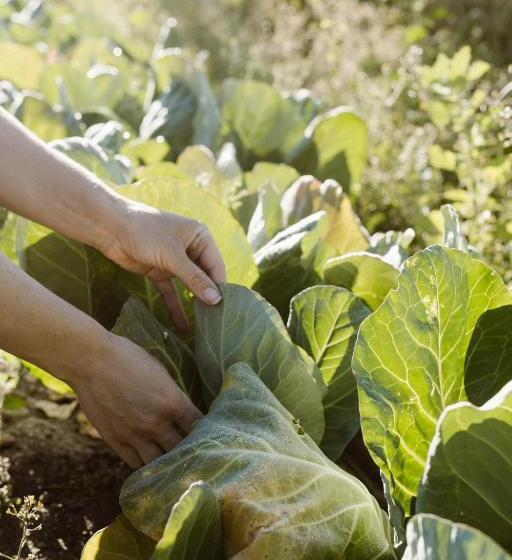 Craveiral Farmhouse By Belong Staying & Feeling