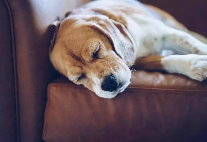 Craveiral Farmhouse By Belong Staying & Feeling