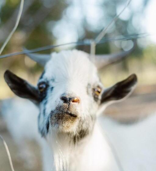 Craveiral Farmhouse By Belong Staying & Feeling