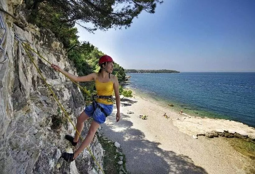 ホテル Punto Blu Valamar Camping Village