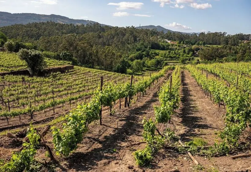 ホテル Vila Galé Collection Ponte de Lima Vineyards