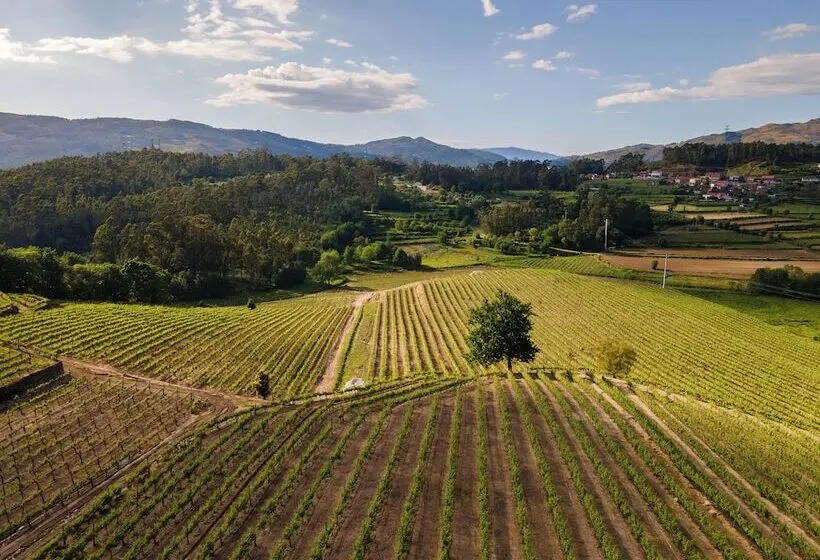 ホテル Vila Galé Collection Ponte de Lima Vineyards