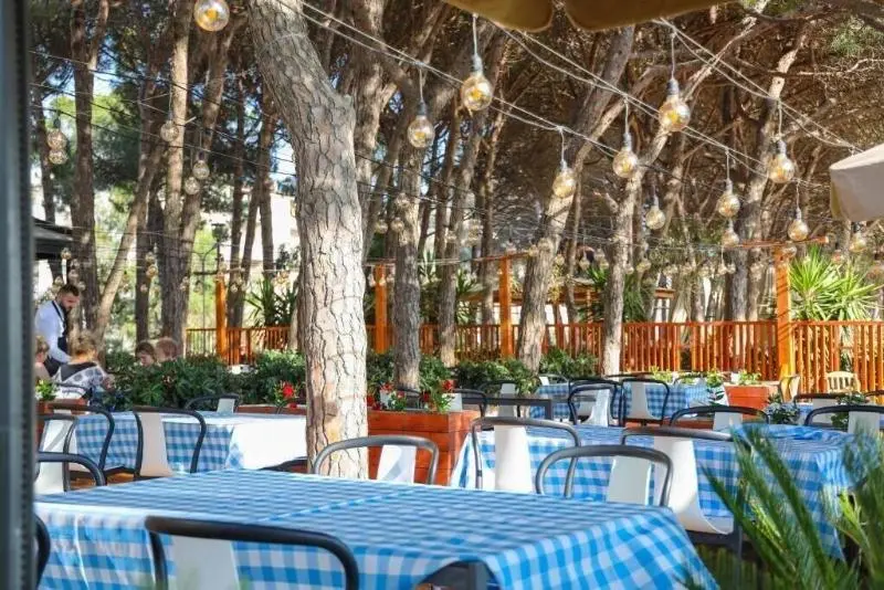 هتل Vm Resort Spa