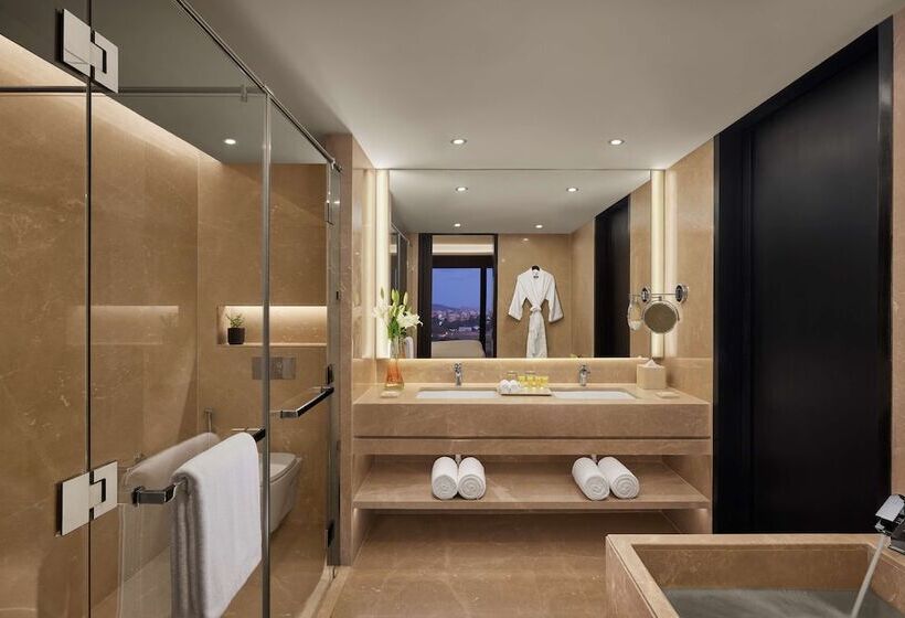 Hotel Hyatt Centric Juhu Mumbai