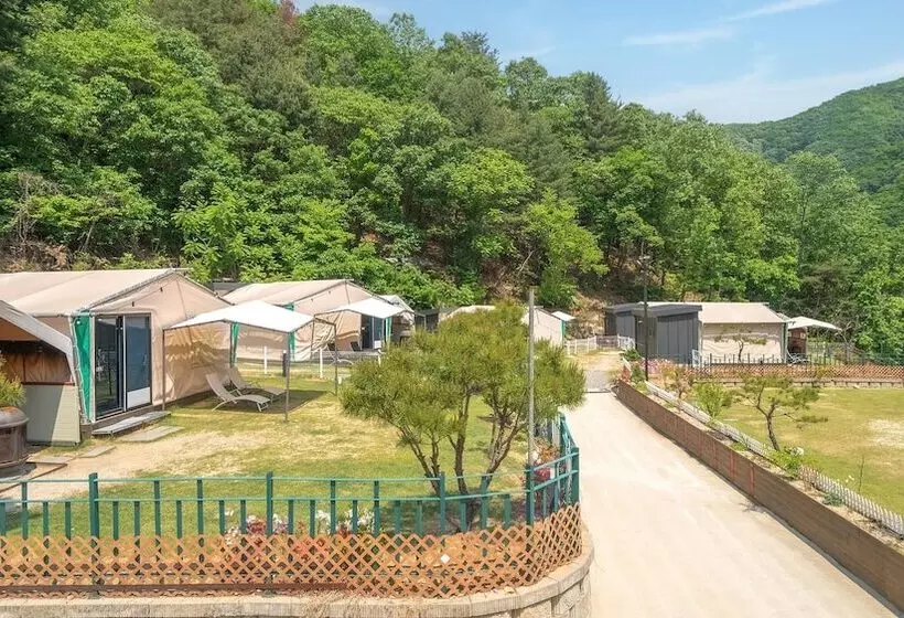 ペンション Gapyeong Camp With Pet & Aegyeonglamping