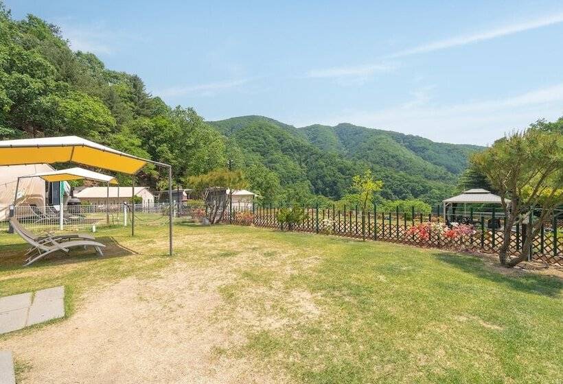 פנסיון Gapyeong Camp With Pet & Aegyeonglamping
