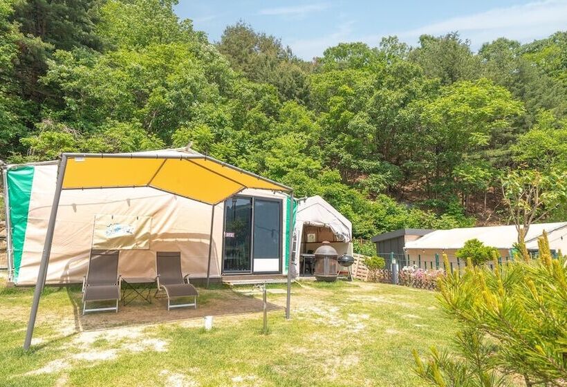פנסיון Gapyeong Camp With Pet & Aegyeonglamping
