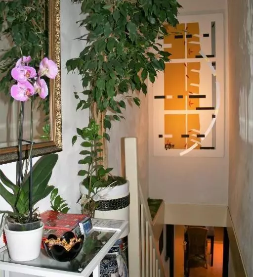 تختخواب و صبحانه Balay Amsterdam