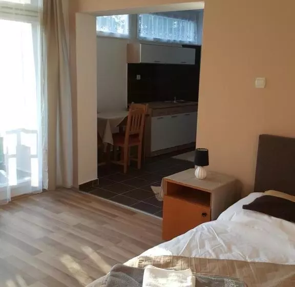 Aamiaismajoitus (B&B) Berény Panzió