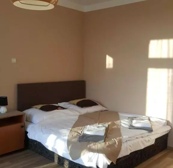 Aamiaismajoitus (B&B) Berény Panzió