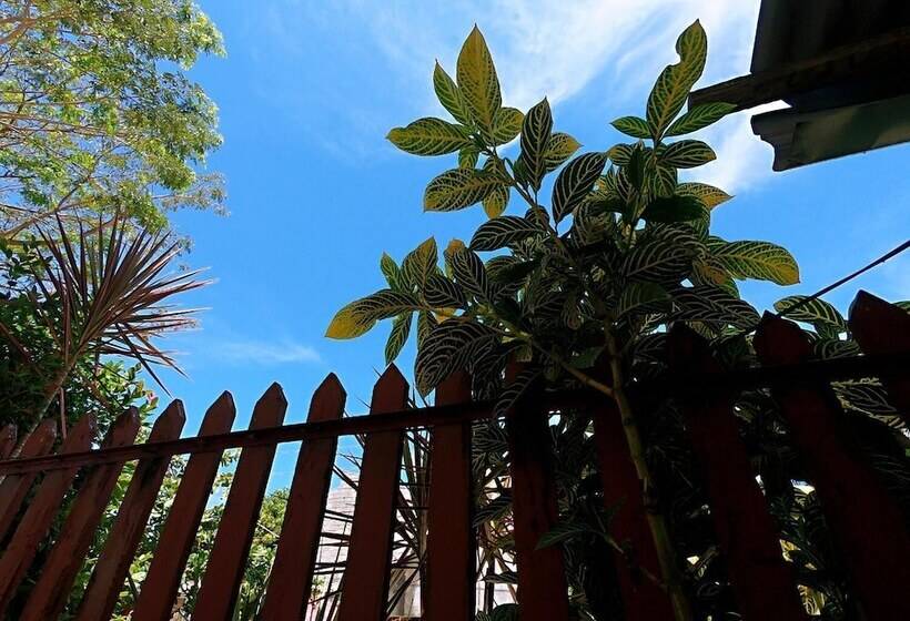 ベッドアンドブレックファースト Woodside Rogers Residence