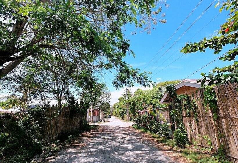 ベッドアンドブレックファースト Woodside Rogers Residence