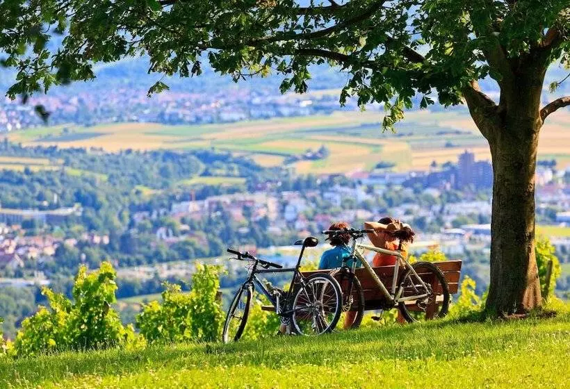 Hotelli Holiday Inn Express Stuttgart Waiblingen, An Ihg