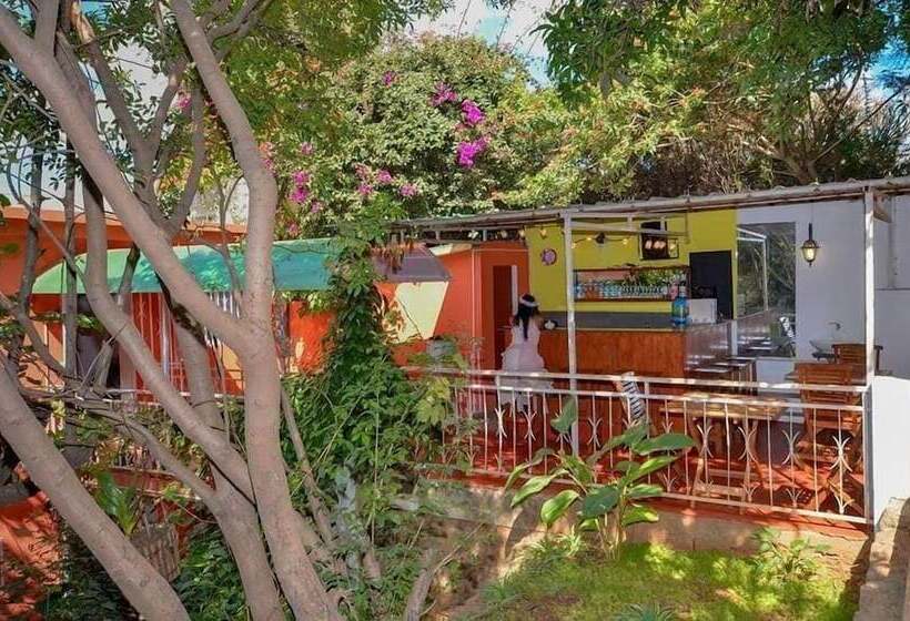 هتل La Casa Di Luna