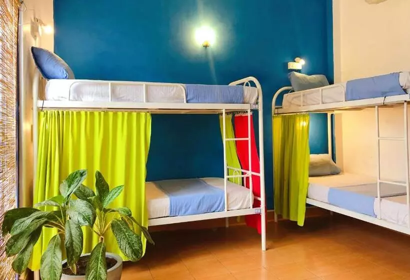 Seconds Hostel   Colombo