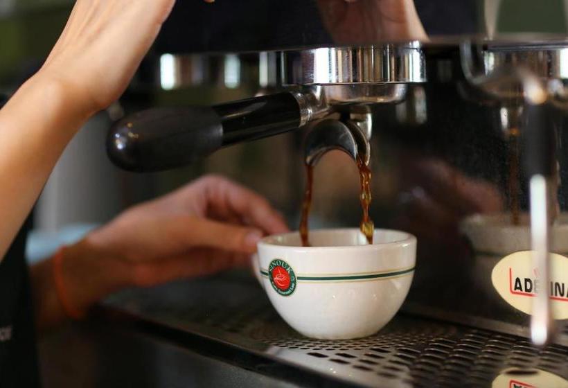 בית מלון כפרי 1m