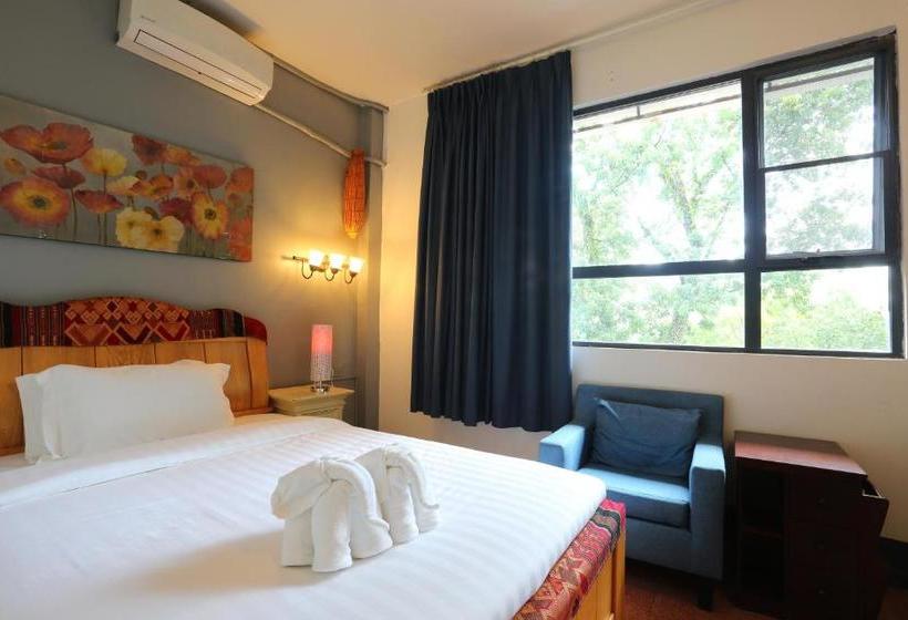 בית מלון כפרי 1m