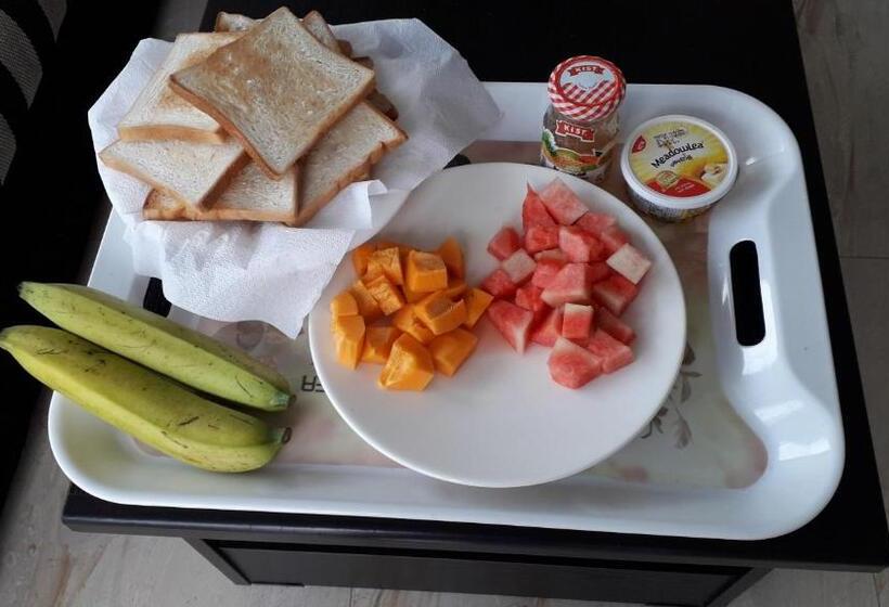 בית מלון כפרי Airport 4 Season Transit