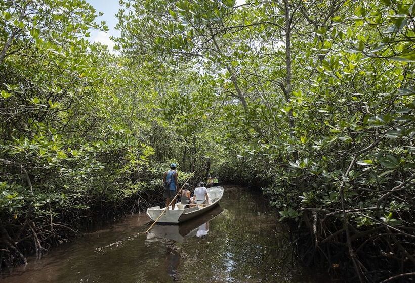 Отель The Acala Shri Sedana