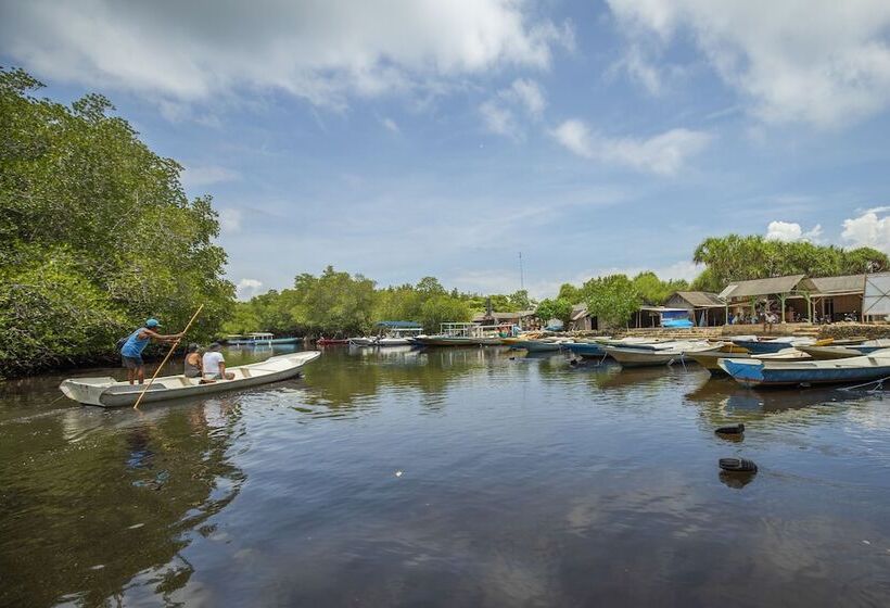 Отель The Acala Shri Sedana