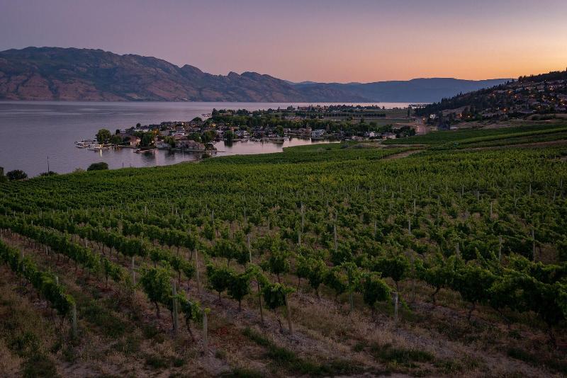 Adela's Bed And Breakfast