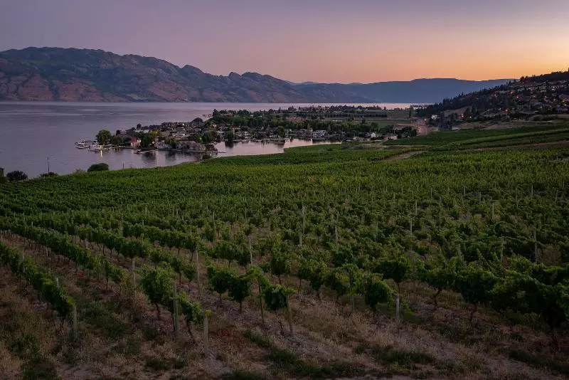 Adela's Bed And Breakfast