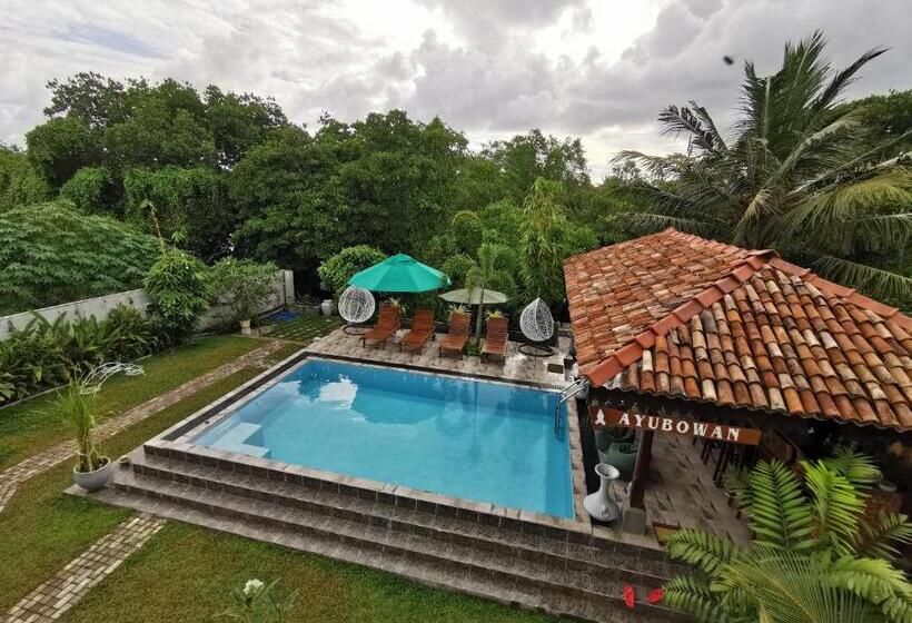 בית מלון כפרי Nature Cabanas & Floating Restaurant