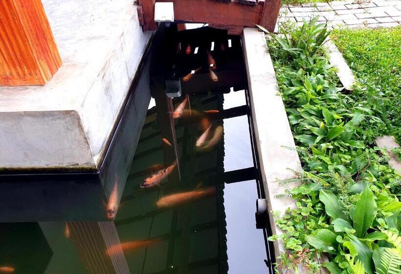 בית מלון כפרי Nature Cabanas & Floating Restaurant