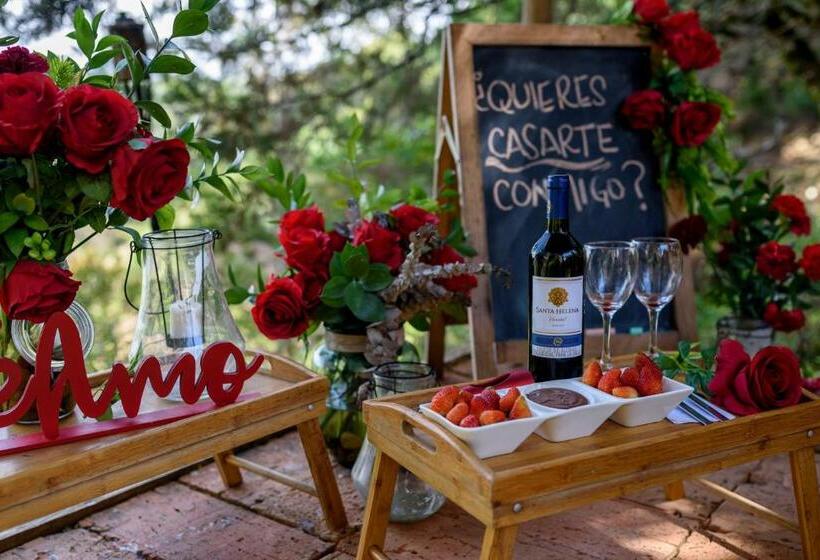 Levit Glamping   Hotel Guatapé Peñol