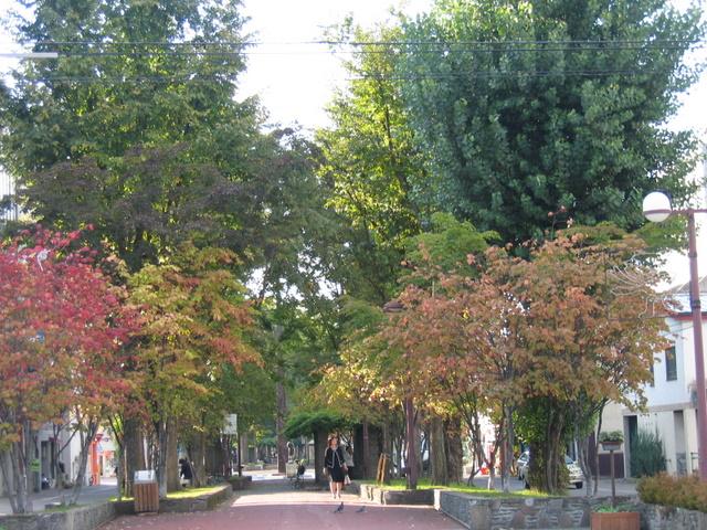 فندق صغير Yumin Backpacker S