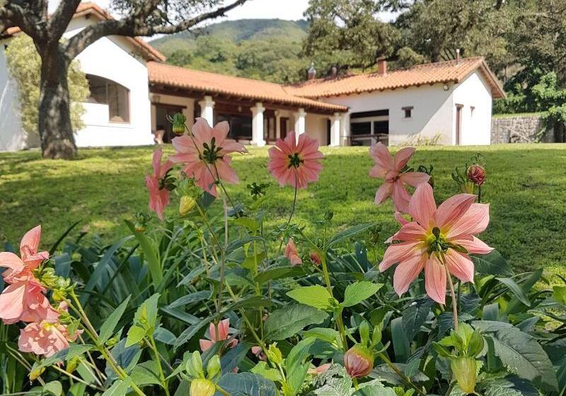 مبيت وإفطار Torrontes