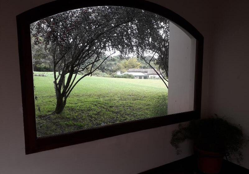 مبيت وإفطار Torrontes