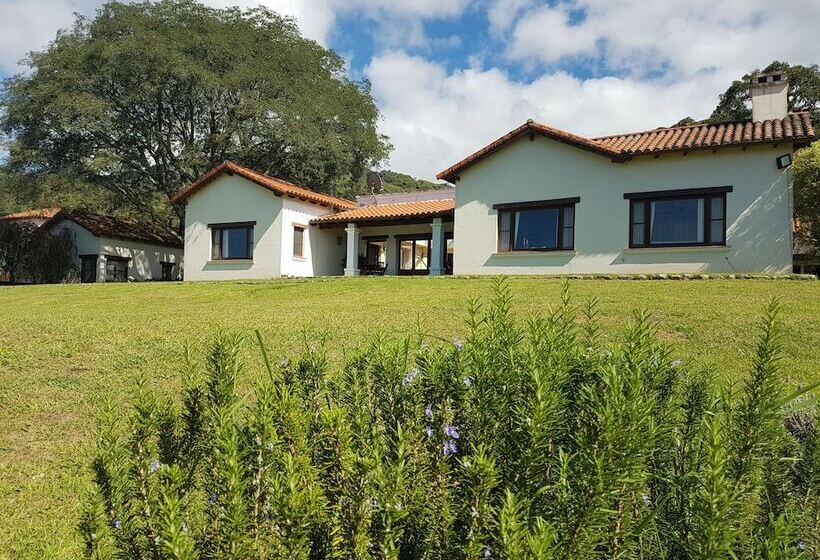 مبيت وإفطار Torrontes