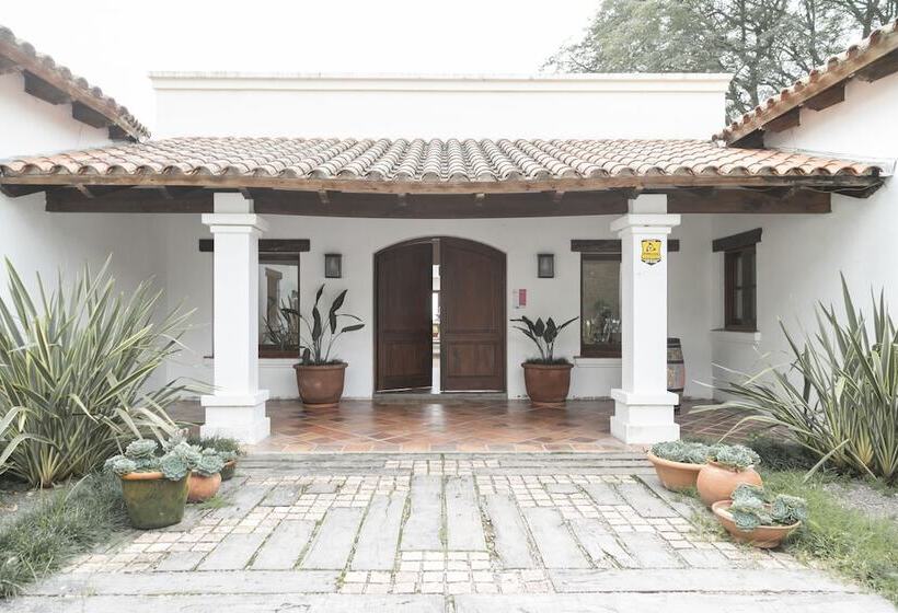 مبيت وإفطار Torrontes