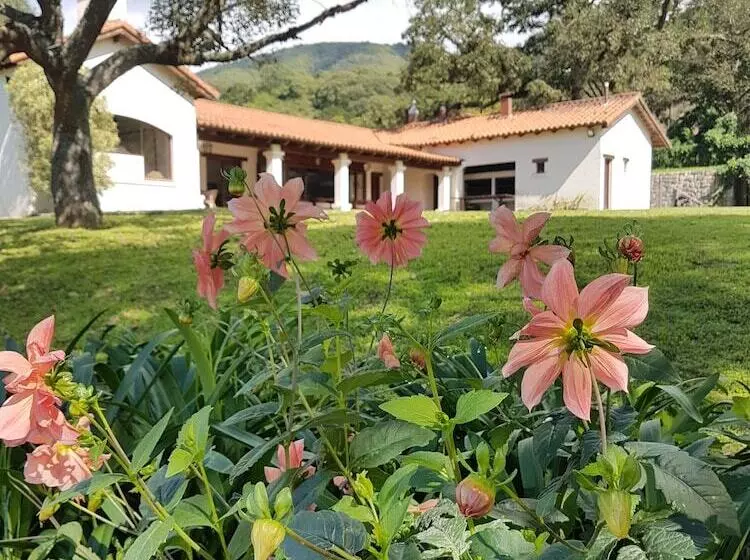 Aamiaismajoitus (B&B) Torrontes