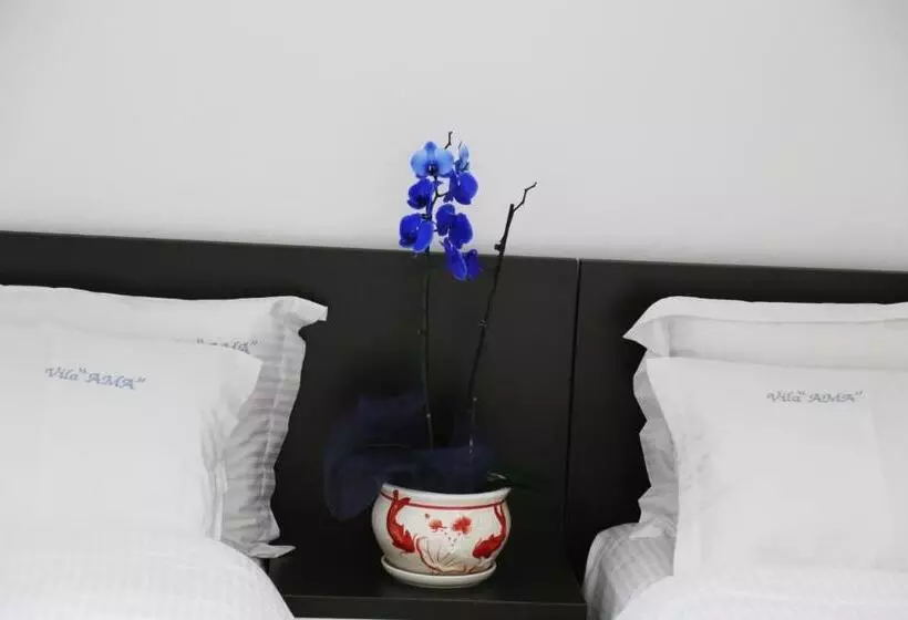 ベッドアンドブレックファースト Vila Ama Kruje