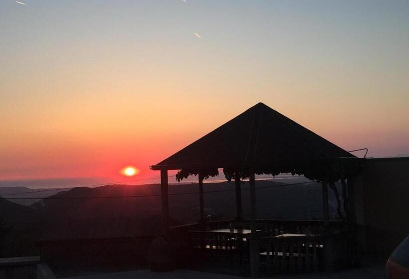 ベッドアンドブレックファースト Vila Ama Kruje