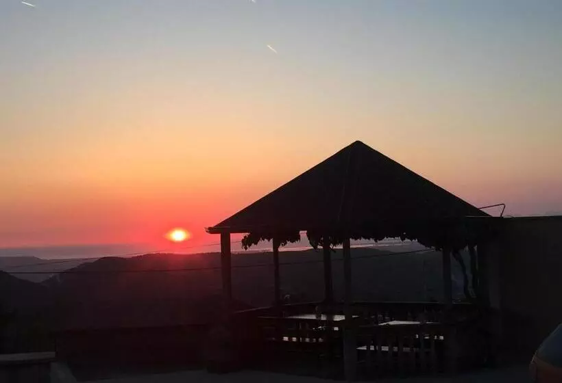 ベッドアンドブレックファースト Vila Ama Kruje